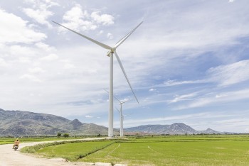 ADB ký kết gói tài trợ 107 triệu USD vận hành trang trại điện gió tại Ninh Thuận