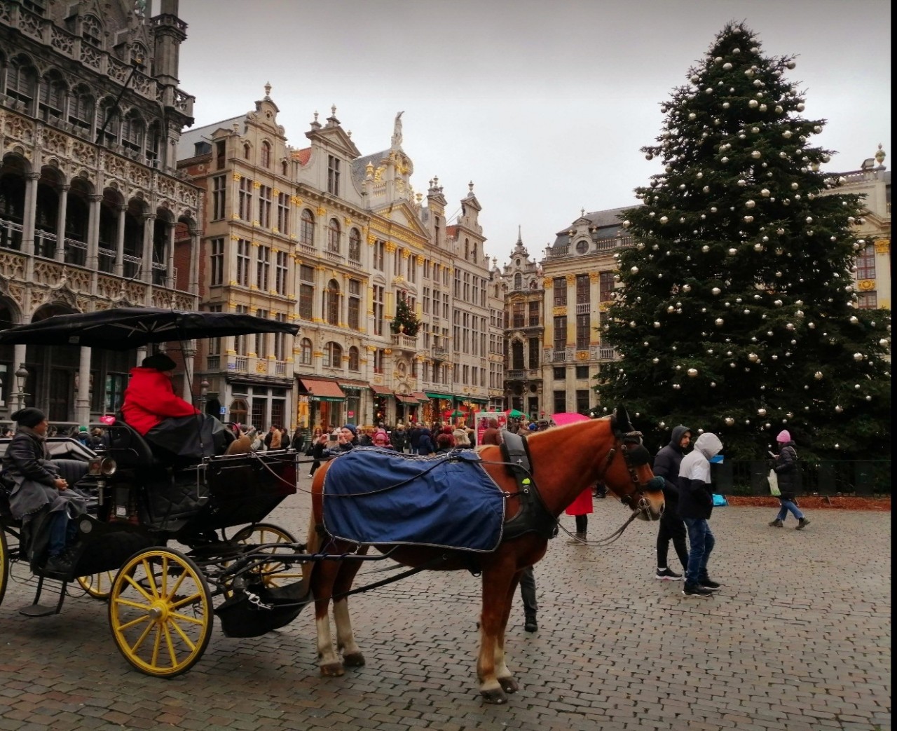Giáng sinh sum họp gia đình và chia sẻ yêu thương của người Việt tại Bỉ