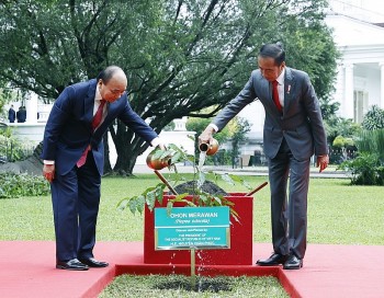 viet nam indonesia tham tinh huu nghi huong toi tuong lai