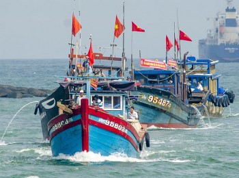 Chấm dứt tình trạng tàu cá khai thác bất hợp pháp ở vùng biển nước ngoài trước ngày 31/3/2023 Chấm dứt tình trạng tàu cá khai thác bất hợp pháp ở vùng biển nước ngoài trước ngày 31/3/2023