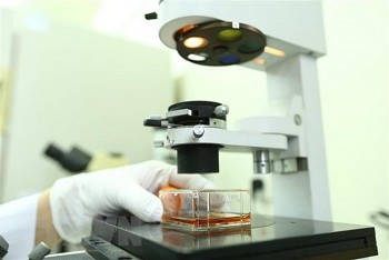 Việt Nam và Đức hợp tác chống các đại dịch tương lai Việt Nam và Đức hợp tác chống các đại dịch tương lai