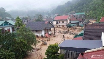 tinh nghe an duoc ho tro 200 ty dong de khoi phuc san xuat vung bi thiet hai do thien tai dich benh nha o