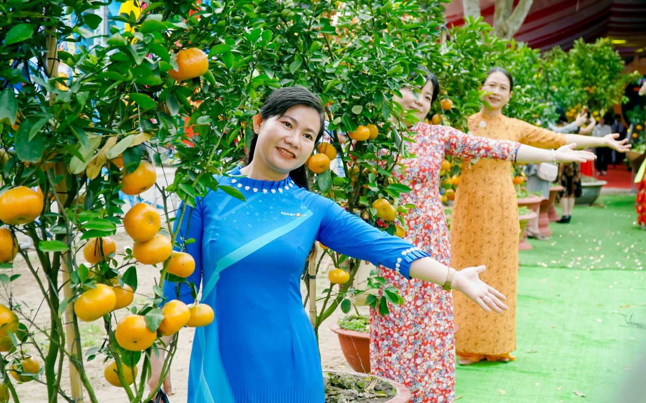 Đồng Tháp: Lần đầu tiên tổ chức lễ hội tôn vinh, quảng bá quýt hồng Lai Vung