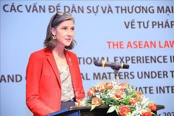 UNDP cam kết hỗ trợ Việt Nam chuyển đổi năng lượng xanh