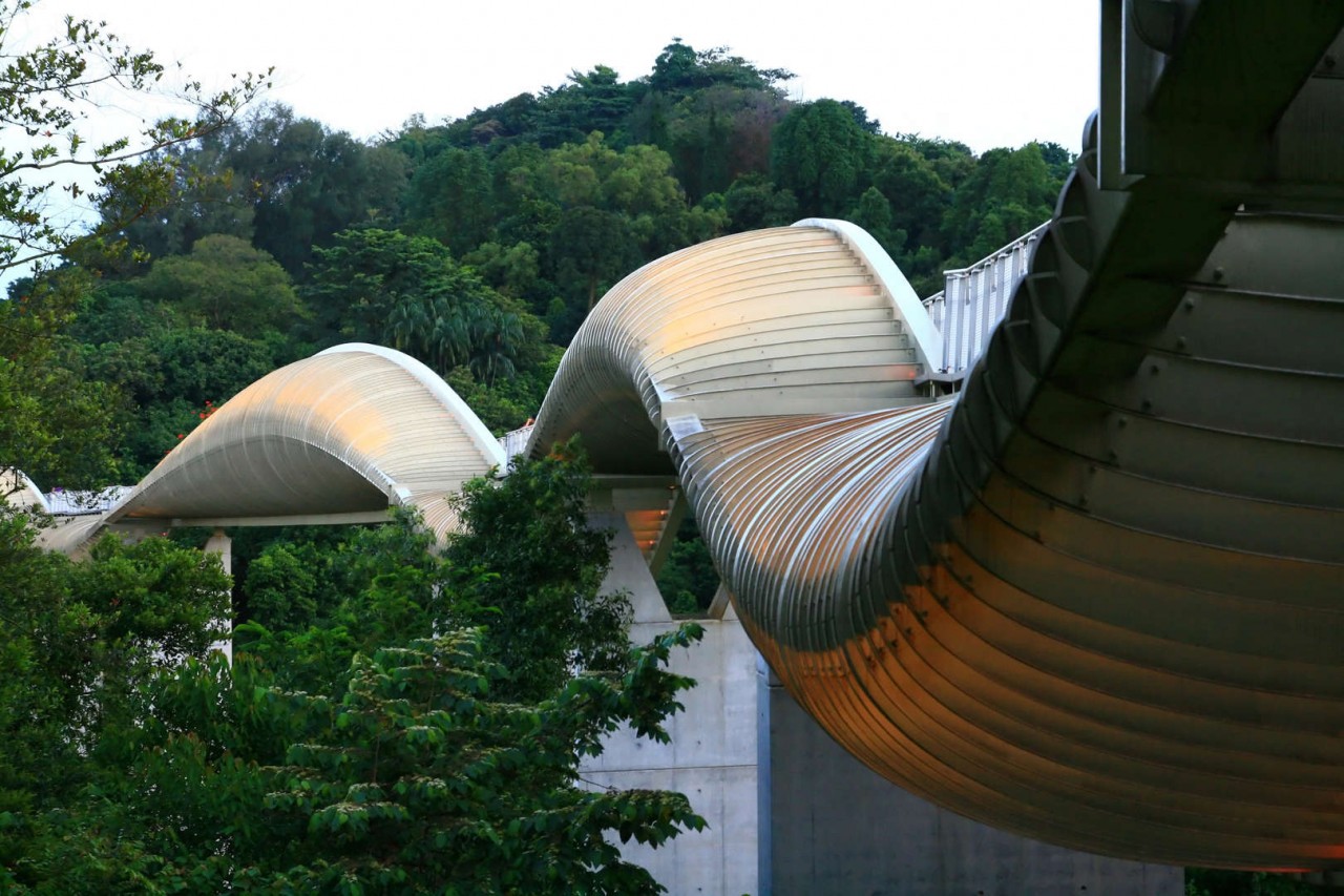 Cầu Henderson Waves (Ảnh: Getty Images/Vichie81).