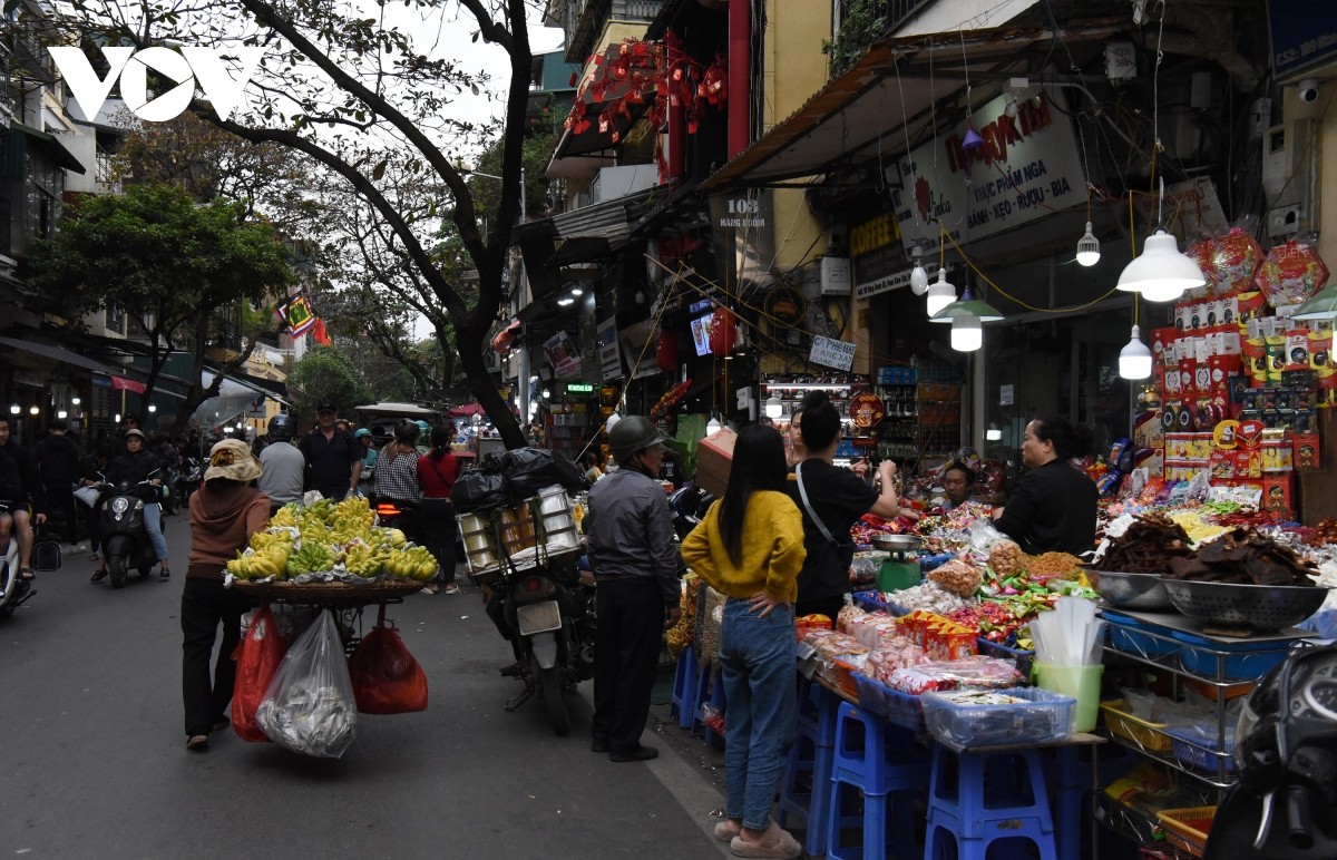 Đường phố Thủ đô tươi sắc hồng, rộn ràng không khí Tết cổ truyền