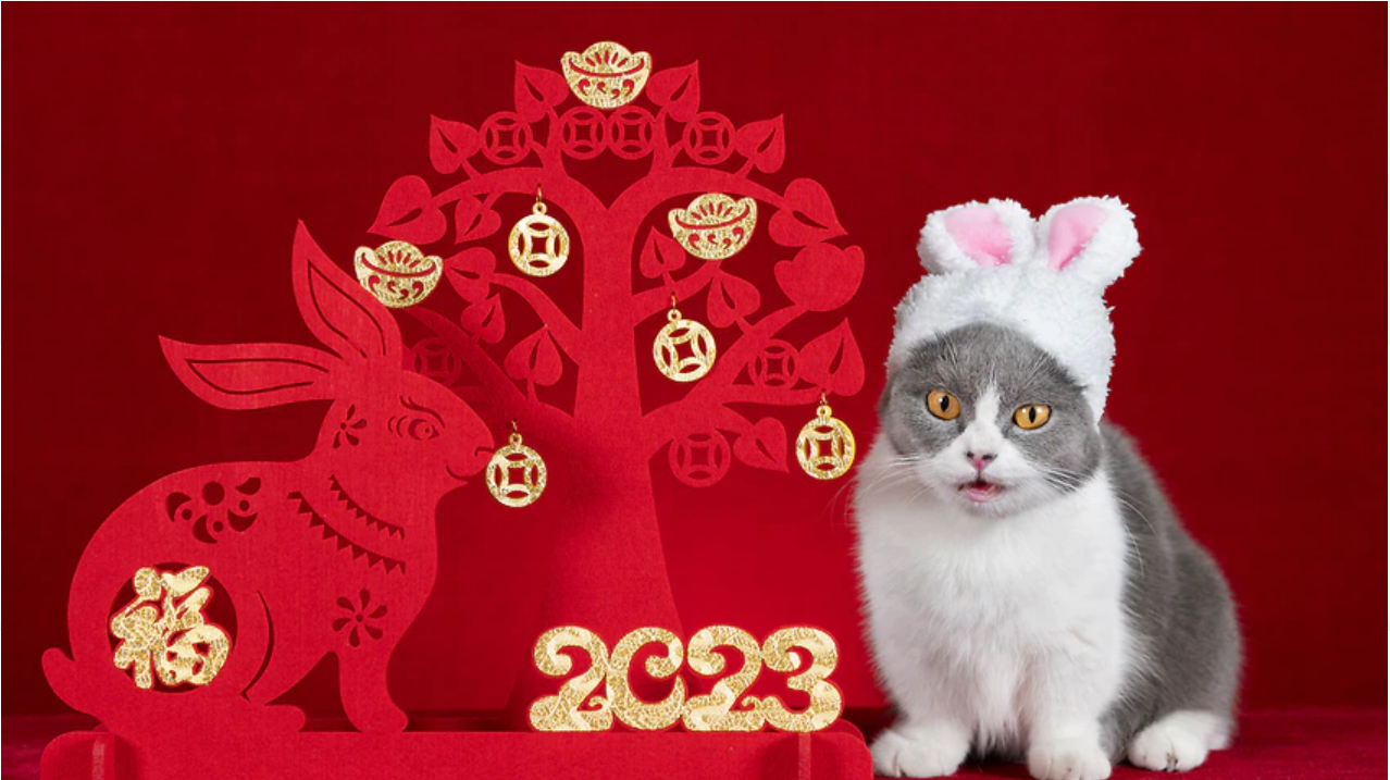 Tết Nguyên đán 2023: Năm con mèo hay con thỏ?