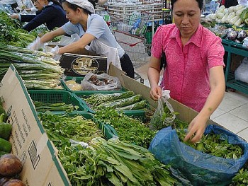 EU gỡ bỏ kiểm soát với 4 hàng rau gia vị của Việt Nam