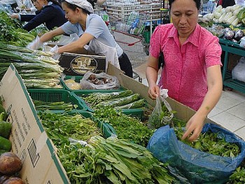 eu go bo kiem soat voi 4 hang rau gia vi cua viet nam