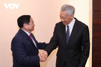 Thủ tướng thăm Singapore và Brunei, thúc đẩy "Ngoại giao cây tre" độc lập, linh hoạt