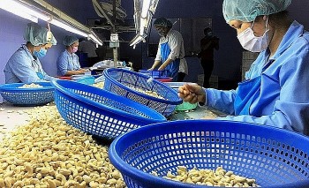 Việt Nam sẽ sản xuất những mặt hàng thế giới cần
