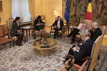 Chủ tịch Hạ viện Bỉ khẳng định ủng hộ tăng cường hợp tác với Việt Nam