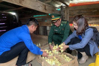 Thừa Thiên Huế: Trao tặng hơn 1.500 con giống cho người nghèo