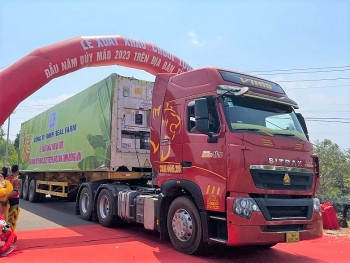 Đồng Nai đặt ra mục tiêu xuất khẩu 500.000 tấn chuối trong năm 2023