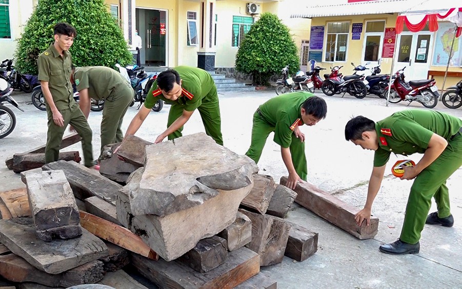 An Giang: Bắt điểm tập kết gỗ nghi vấn nhập lậu trên khu vực biên giới