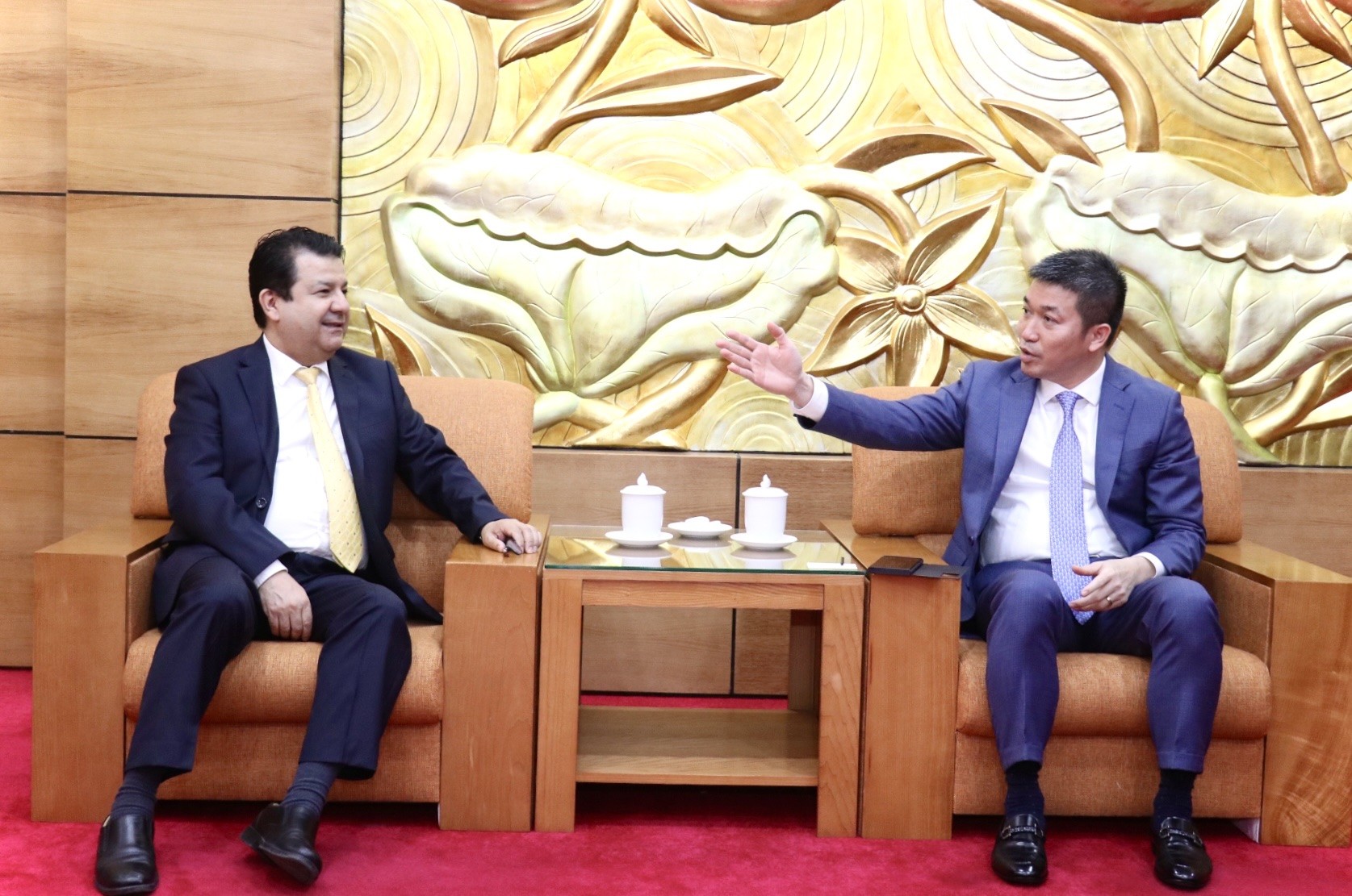 ông Phan Anh Sơn - Phó Chủ tịch, Tổng thư ký Liên hiệp các tổ chức hữu nghị Việt Nam (VUFO) đã tiếp ông Sergio Narea, tân Đại sứ Chile tại Việt Nam