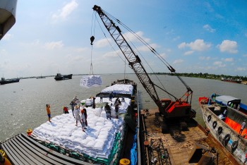 Indonesia tăng dự trữ quốc gia lên 2,4 triệu tấn gạo, xuất khẩu gạo Việt Nam có cơ hội?