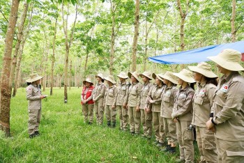 Việt Nam nghiên cứu về vai trò của phụ nữ trong tiến trình hòa bình và an ninh tại Jordan và Anh