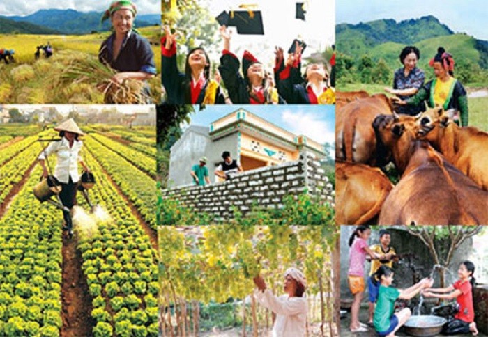 Phú Yên phấn đấu giảm 2.249 hộ nghèo trong năm 2023