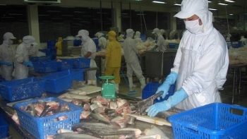 Tỉnh Quảng Tây đóng vai trò quan trọng trong thương mại thủy sản Việt Nam - Trung Quốc