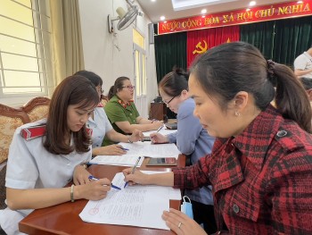 ha noi lap doan thanh tra 20 don vi cham dong bao hiem xa hoi