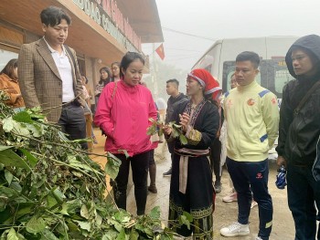 lao cai giau tiem nang phat trien kinh te duoc lieu