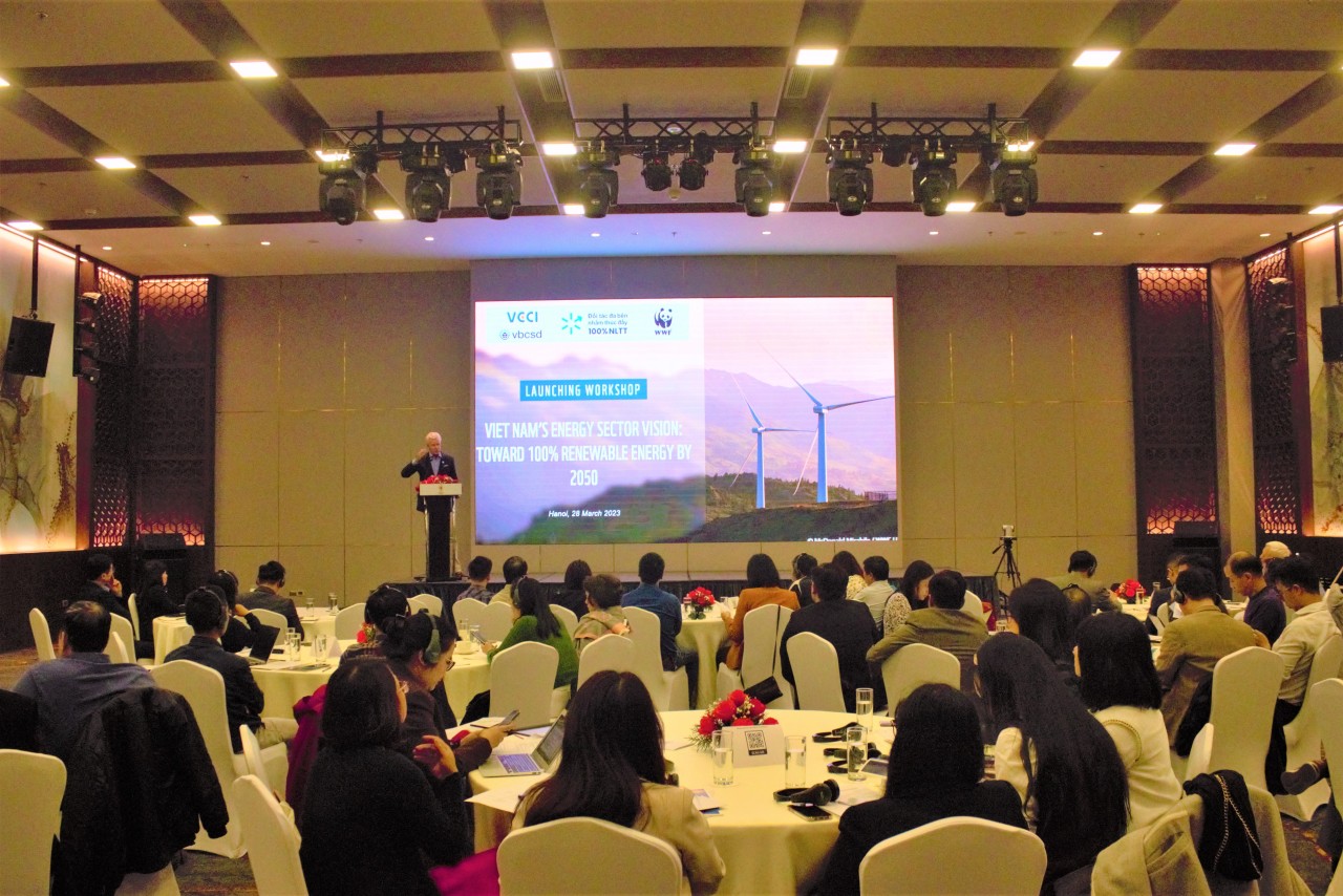 Hội thảo giới thiệu “Báo cáo Tầm nhìn ngành năng lượng Việt Nam hướng tới 100% năng lượng tái tạo vào năm 2050”.