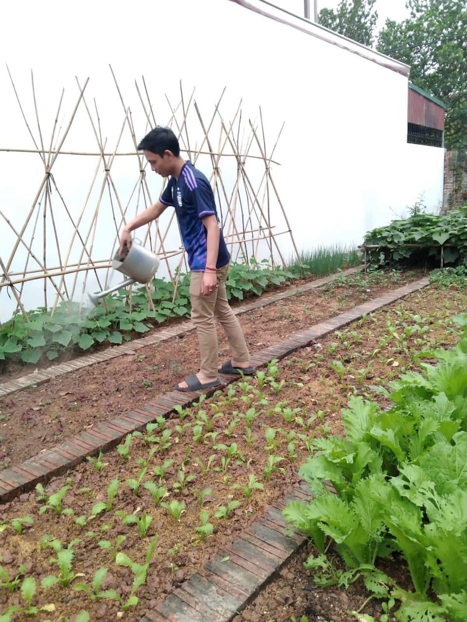 Lưu học sinh Lào học làm nông, hướng dẫn bố mẹ Việt múa lăm vông