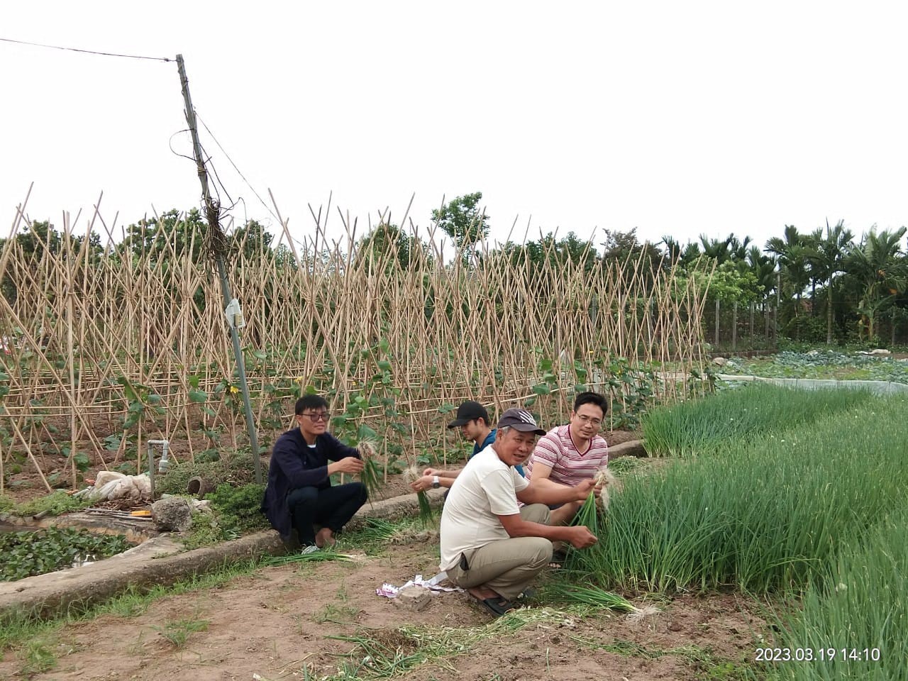 Lưu học sinh Lào học làm nông, hướng dẫn bố mẹ Việt múa lăm vông