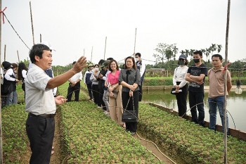 Bố mẹ Việt, con Lào cùng làm nông, múa lăm vông