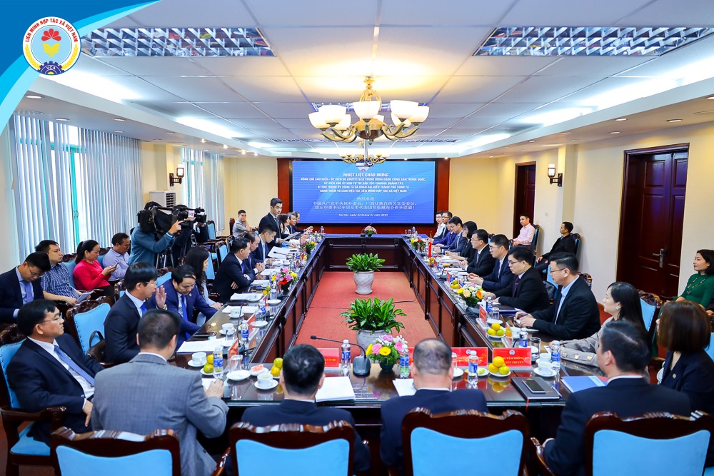 Việt Nam - Quảng Tây (Trung Quốc) thúc đẩy giao lưu hợp tác xã, doanh nghiệp