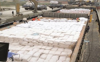 Việt Nam có nhiều lợi thế xuất khẩu gạo vào thị trường Indonesia