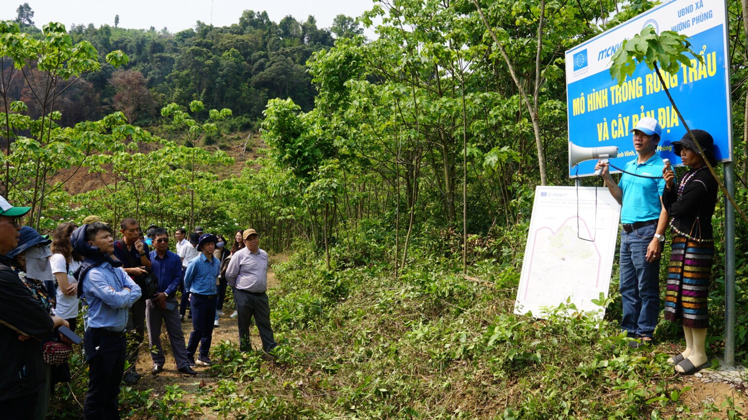 Các đại biểu tham quan, chia sẻ kinh nghiệm về mô hình trồng rừng trẩu và cây bản địa do MCNV triển khai thực hiện tại thôn Chênh Vênh, xã Hướng Phùng, huyện Hướng Hóa (Ảnh: MCNV).