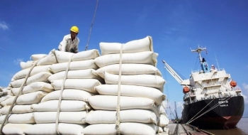 Xuất khẩu gạo tháng Ba: Thiết lập kỷ lục mới