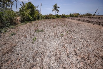 Tân Á Đại Thành tung chính sách bảo hành 1 đổi 1  cho “Siêu bồn nhựa Plasman”