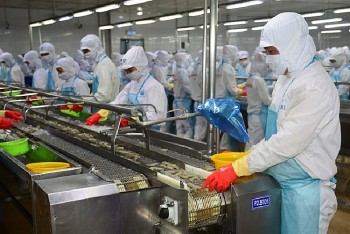 Vượt qua Mỹ, Nhật Bản trở thành thị trường xuất khẩu số 1 của tôm Việt Nam