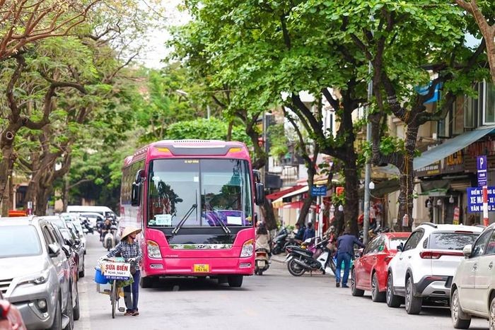 Toàn cảnh 3 địa điểm dự kiến trở thành phố đi bộ mới của Hà Nội | Đời sống | Vietnam+ (VietnamPlus)