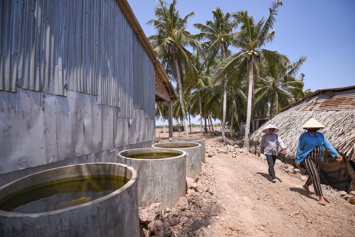 Người dân tại Ba Tri, Bến Tre tích trữ nước ngọt trong bể xi măng  (Ảnh: Tùng Đinh, Tân Á Đại Thành)