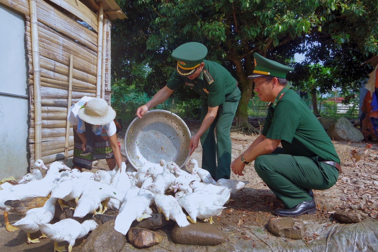 Cán bộ biên phòng tăng cường phát triển kinh tế - xã hội tại xã Trung Sơn, huyện A Lưới hướng dẫn người dân kỹ thuật chăn nuôi.