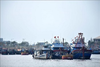 da nang tang cuong giam sat don vi thuc hien phong chong khai thac iuu