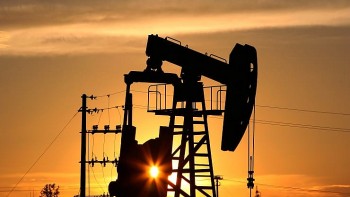 Giá dầu tăng trở lại bởi kỳ vọng nhu cầu lên mạnh