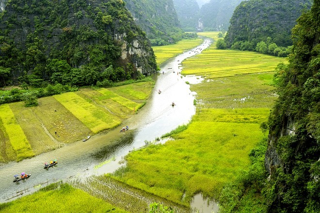 Tuần Du lịch Ninh Bình 2023 có chủ đề "Sắc vàng Tam Cốc - Tràng An"