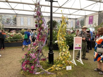 nguoi viet dau tien thang giai bac tai chelsea flower show 2023