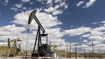 Giá dầu tiếp tục tăng mạnh bởi kỳ vọng OPEC+ hạ sản lượng