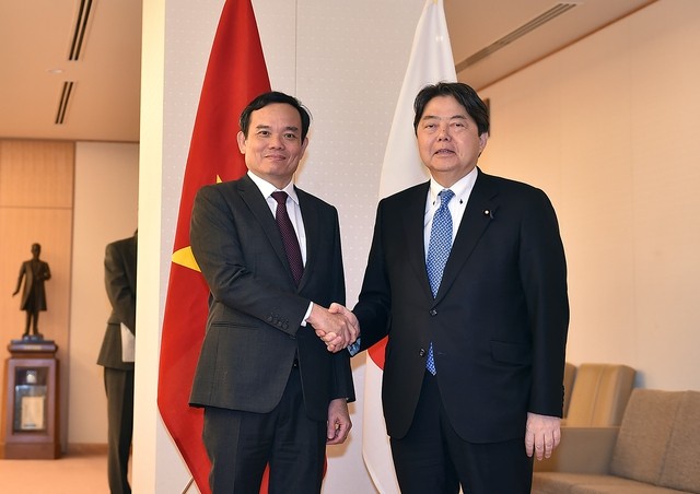 Phó Thủ tướng Trần Lưu Quang Trao đổi với Bộ trưởng Ngoại giao Nhật Bản Hayashi Yoshimasa