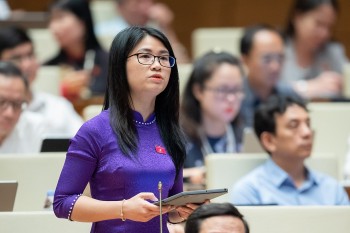 dai bieu quoc hoi de nghi xay dung quy du phong an sinh xa hoi de ho tro lao dong mat viec