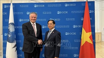 OECD sẽ tiếp tục đồng hành cùng Việt Nam trong phát triển kinh tế xanh