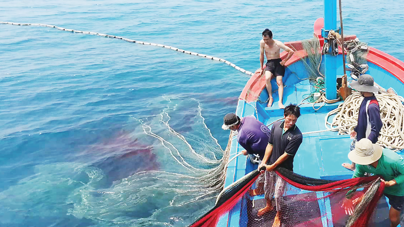 Việt Nam bị “thẻ vàng” IUU: Nỗ lực gỡ nút thắt cho thủy sản
