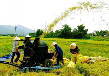 Bình Định: 1.260 hộ nông dân hưởng lợi từ dự án sinh kế nông thôn bền vững do New Zealand tài trợ