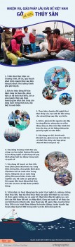 Infographic: 8 giải pháp lâu dài để Việt Nam gỡ 